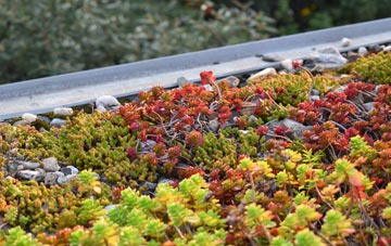 the cost of West Appleton green roof installation