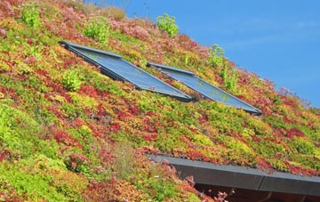 West Appleton living roof systems