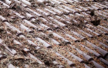 West Appleton roof cleaning companies